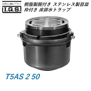 ɓSH ot(XeXڎMAgt) rgbv T5AS 2 50 IGS