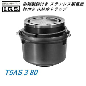 ɓSH ot(XeXڎMAgt) rgbv T5AS 3 80 IGS