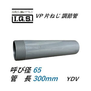 ɓSH YDV VP Ђ˂ ߊ Ăьa65 ߊǒ300 IGS