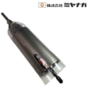 �E�b�f�B���O�R�A�h�����Z�b�g �|���N���b�N SDS�v���X �U65mm �~���i�K PCWS65R