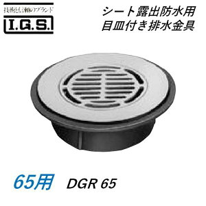 ɓSH V[gIohp ڎMtr TCY 65 DGR IGS