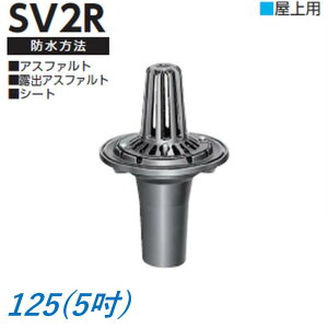 [thC p TCY 125 Ĉp S t ݐڑ AXt@g V[ghp 5C` j