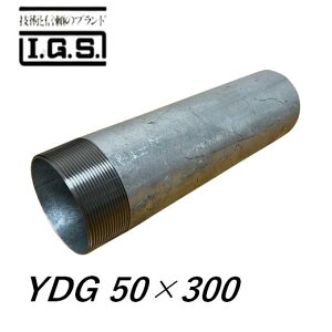 �ɓ��S�H YDG GP �Ђ˂� ���ߊ� �Ăьa50 ���ߊǒ�300 IGS