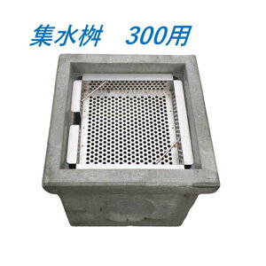 toXPbg W300p iqWp XeX p}X j ǖ ra S~ t  W