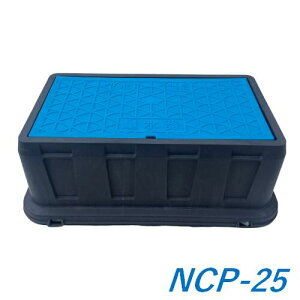 Vo@ [^[{bNX NCP-25 W440×230mm ʐ{bNXW t^GFPP  ύڋ֎~ }XC[^[{bNX 