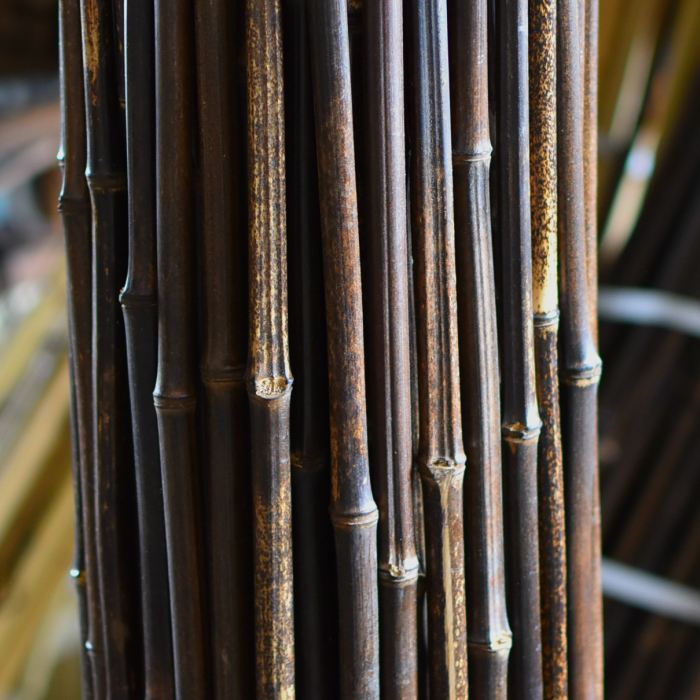 【楽天市場】黒竹 2メートル 8分 1束（60本入り）: 竹、庭園資材販売の大橋今右衛門
