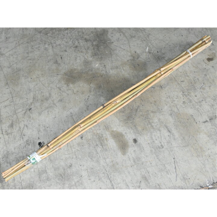 楽天市場 女竹 めだけ 根尖り加工 100本セット 6尺 180cm 竹 庭園資材販売の大橋今右衛門