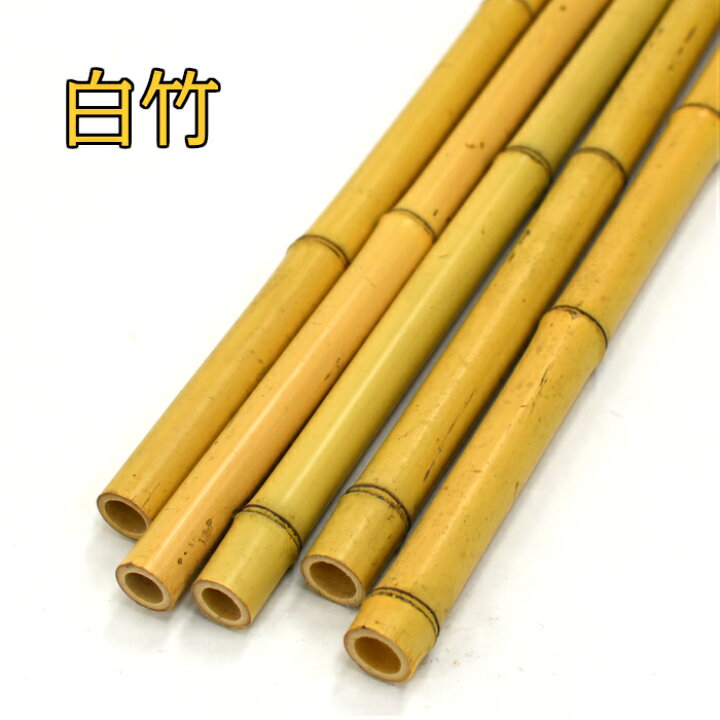 楽天市場】白竹(さらし竹) 6分 1本 最大2メートル(カット加工承ります  