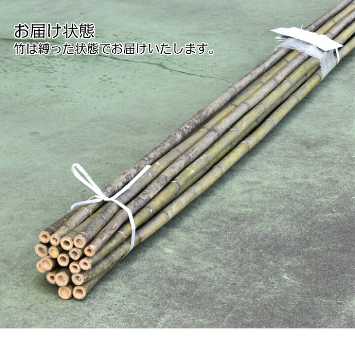 楽天市場】青竹(真竹) 4寸（直径約4cm） 長さ2メートル 14本入り : 竹 
