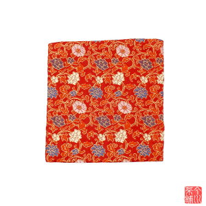 Û D p-17 y ގ Õ ӂ z