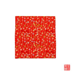 Û D p-12 y ގ Õ ӂ z