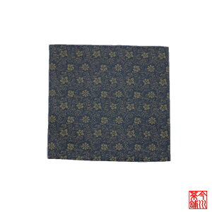 Û @jq y ގ Õ Âӂ z