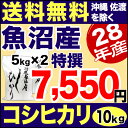 魚沼産コシヒカリ 特選 10kg(5kg×2) H28年産 米 【送料無料】(沖縄・佐渡を除く)【お中元 米ギフト】 ランキングお取り寄せ