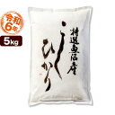 魚沼産コシヒカリ 特選 5kg 令和6年産 新潟産 米