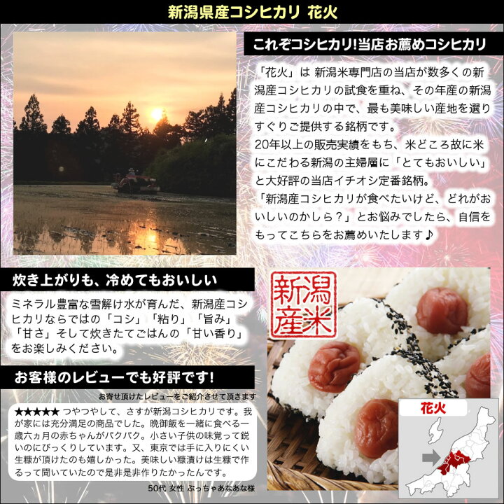 令和3年産 お米 10kg 新潟産コシヒカリ 花火 5kg 2袋 送料無料 北海道 九州 沖縄除く 公式の店舗