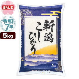 令和7年産 新潟産 コシヒカリ 山並 5kg 米【春はじめのごはん祭】