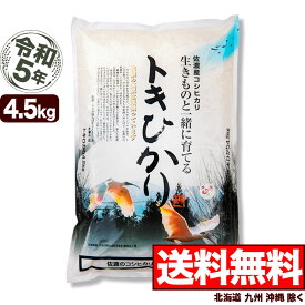 佐渡産トキヒカリ 白米 4.5kg 令和5年産 新潟産 米【送料無料】(北海道、九州、沖縄除く)