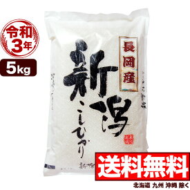 楽天市場 お米 値段 10kgの通販
