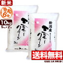 新米 ミルキークイーン 10kg(5kg×2袋) 新潟県産 令和6年産【送料無料】(北海道、九州、沖縄除く)