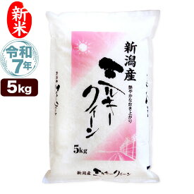 新米 令和7年産 新潟産 ミルキークイーン 5kg 米