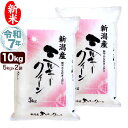 新米 令和7年産 新潟産 ミルキークイーン 10kg(5kg×2袋) 米
