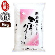 新米入荷 令和8年産 新潟産 ミルキークイーン 5kg 米