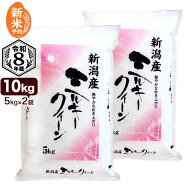 【新米予約】令和8年産 新潟産 ミルキークイーン 10kg(5kg×2袋) 米 9月17日発送予定