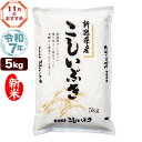 新米 令和7年産 新潟産 こしいぶき 5kg 米【11月のおすすめ銘柄】