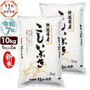 新米 令和7年産 新潟産 こしいぶき 10kg(5kg×2袋) 米【11月のおすすめ銘柄】