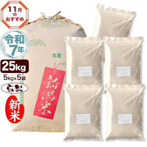 V ߘa7NY VY Ԃ 25kg(5kg×5) āy11̂ߖz