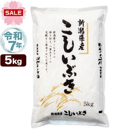 令和7年産 新潟産 こしいぶき 5kg 米【新生活応援セール】