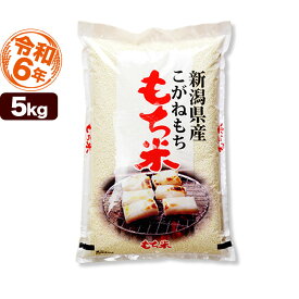 こがねもち米 5kg 令和6年産 新潟産 米