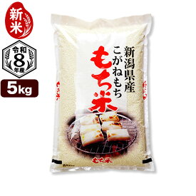 新米入荷 令和8年産 新潟産 こがねもち米 5kg 米
