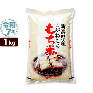 令和7年産 新潟産 こがねもち米 1kg 米