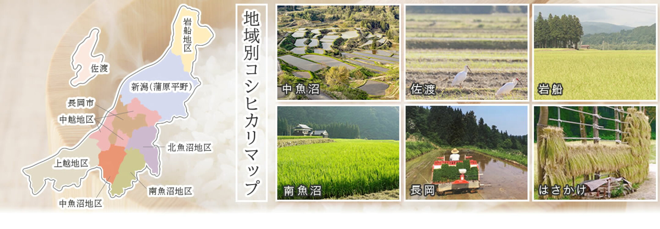 コシヒカリマップ