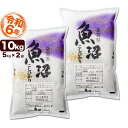 魚沼産コシヒカリ 産直 10kg(5kg×2) 令和6年産 新潟産 米