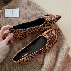 Ip[h |CebhgD pvX qE ^ C T_ Ă΂ tH[} IP[W  Imagibune SH-1681CMY \ p[eB[ 񎟉 gh TCY 傫TCY