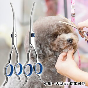 y؂ȃybgɍlS݌vzg~OJ[uVU[ g~OnT~ p Jbg g}[ g~Op lC  E  ufBOVU[ XeX S