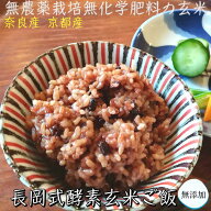 【送料無料】長岡式酵素玄米ごはん 6000g 40パックセット 奈良県産京都府産の無農薬無肥料栽培米の酵素玄…