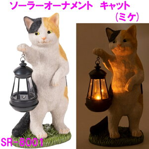 y(E)z\[[I[ig Lbg ~P SR-8001y񂹁zyL lR ObY  K[fCg \[[Cg tbgCg I[ig uz