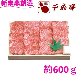 y琬zߍ] Jrē (600g) ґ  | Ƒc o[xL[ j v[g j Ԃ LOi ii py[J[zyΕ  Mtg Hi ~ H