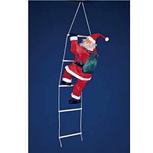 t[bNX@SN-161@80cm@͂T^@SN161y[J[izy/szyFLOREX C~l[V NX}X C~l[V T^N[X X  IV 