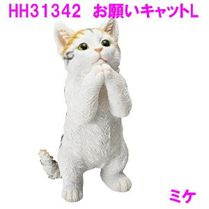 GC`c[I[@HH34342@qLu@肢LbgL@~Py[J[zy/szyI[ig CeA  u L lR 킢 v[gz