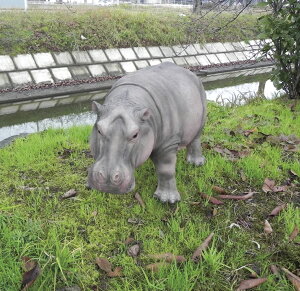 y(kCEE)zGNXeA CeA  Aj}JtF GC`c[I[@HH31962@Aj}V[YI[ig  Jo HH31962y[J[zy