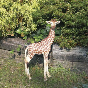  GNXeA  JtF u GC`c[I[@HH31963@Aj}V[YI[ig@L@HH31963y[J[zy/szyK[fu CeAu |u