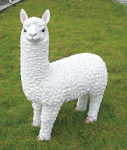 y(kCEE)z GNXeA  JtF u GC`c[I[@HH31966@Aj}V[YI[ig@ApJ@HH31966y[J[zy/s