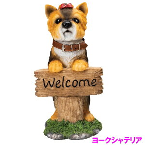 GC`c[I[@HH8204@u@EFJ{[h@hbO@[NVeAy[J[zy/szyI[ig CeA  u  Ck 킢 v[gz