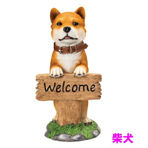 GC`c[I[@HH8210@u@EFJ{[h@hbO@Čy[J[zy/szyI[ig CeA  u  Ck 킢 v[gz