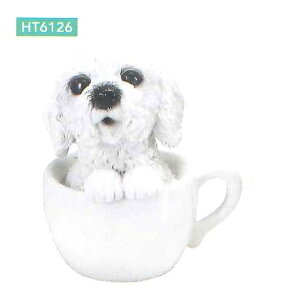 GC`c[I[@HT6126@eB[JbvhbO@V[Y@HT-6126y[J[zy/szyK[fu/CeAu/|uz