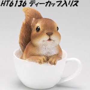 GC`c[I[@HT6136@eB[JbvX@HT-6136y[J[zy/szyK[fu/CeAu/|uz